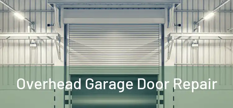  Overhead Garage Door Repair 